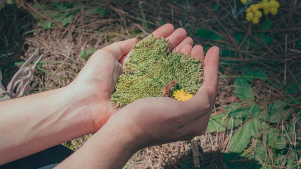 Día Mundial del Medio Ambiente